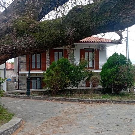 Villa Iris ミストラ エクステリア 写真
